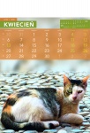 Kalendarz wieloplanszowy 2021 Koty (zdjęcie 5)