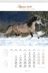 Kalendarz wieloplanszowy 2021 Konie w obiektywie (zdjęcie 4)