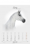 Kalendarz wieloplanszowy 2019 Konie (zdjęcie 9)