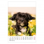 Kalendarz wieloplanszowy na rok 2024 Psy (zdjęcie 11)
