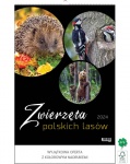 Kalendarz wieloplanszowy na rok 2024 Zwierzęta polskich lasów (zdjęcie 9)
