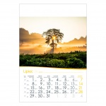 Kalendarze wieloplanszowe na rok 2024 Drzewa na wietrze (zdjęcie 11)