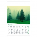 Kalendarze wieloplanszowe na rok 2024 Drzewa na wietrze (zdjęcie 6)