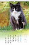 kalendarz wieloplanszowy Koty domore