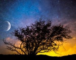 kalendarz wieloplanszowy Noce księżycowe