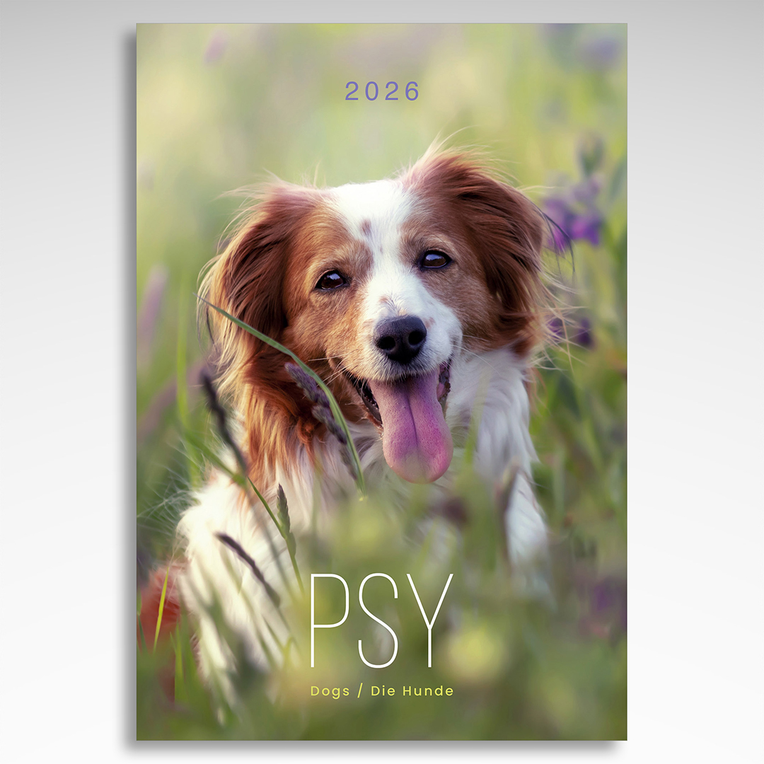 Kalendarz wieloplanszowy Psy (20szt.) - 3 Kalendarz wieloplanszowy Psy