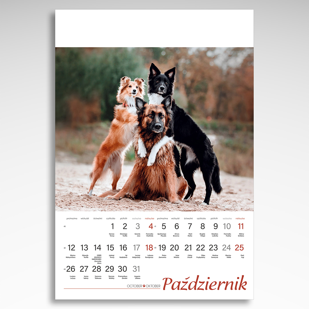 Kalendarz wieloplanszowy Psy (20szt.) - 6 Kalendarz wieloplanszowy Psy (20szt.) - obrazek 4