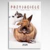 Kalendarz wieloplanszowy Przyjaciele (20szt.) - 2 Kalendarz wieloplanszowy Przyjaciele