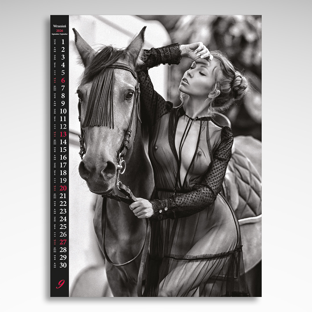 Kalendarz wieloplanszowy Erotic Moments (20szt.) - 7 Kalendarz wieloplanszowy Erotic Moments (20szt.) - obrazek 5