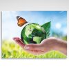 Kalendarz trójdzielny Natura (20szt.) - 1 Kalendarz trójdzielny Natura