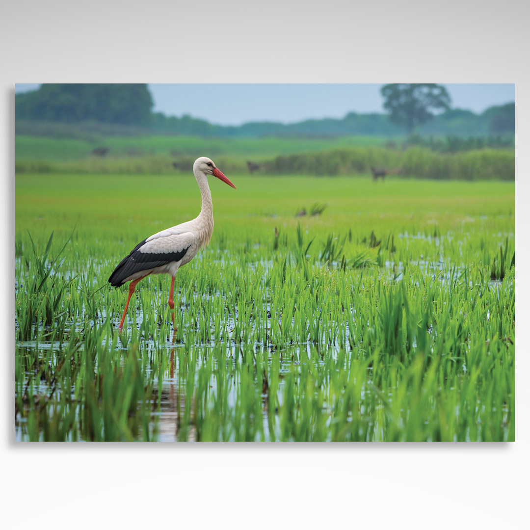 Kalendarz jednodzielny Mazury