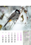 Kalendarz wieloplanszowy 2021 Ptaki (zdjęcie 1)
