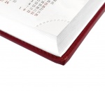 Kalendarz książkowy 2022 Kalendarze książkowe A6-18 (zdjęcie 1)