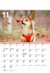 Kalendarz wieloplanszowy 2021 Psy (zdjęcie 2)